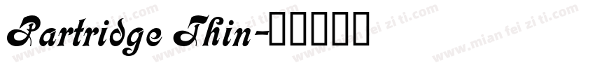 Partridge Thin字体转换